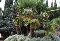 DSC00782 01